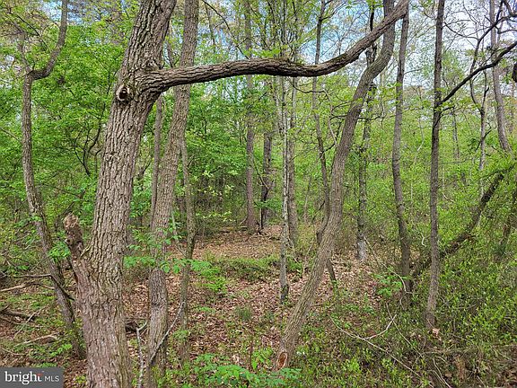 5th image of 5608 Federal Hill Rd