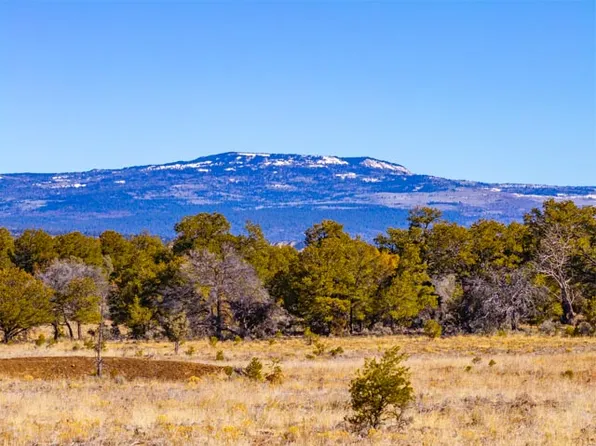 Nsn Forest Rd #131-C, Los Ojos, NM 87551