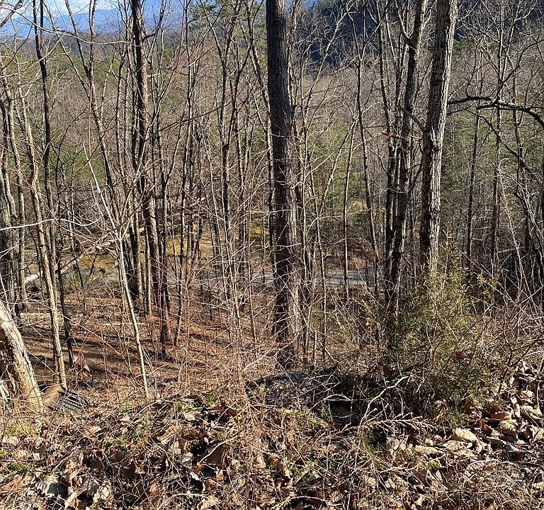 2nd image of 0 Rising Fawn Way Lot 2A