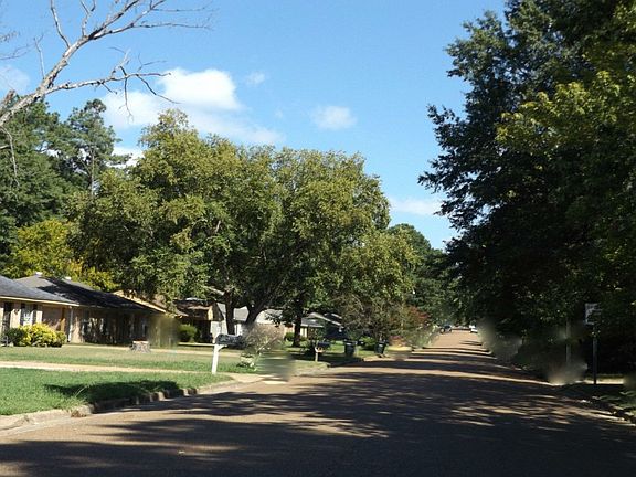 5th image of 8167 Elmbrook Dr