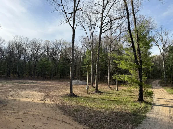 9100 S Lovers Ln, Newaygo, MI 49337