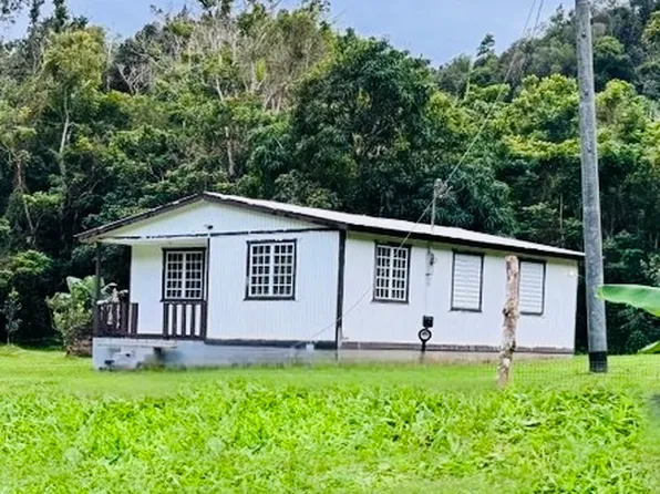 Carr 635 Km 6.9 Bo Esperanza, Arecibo, PR 00612