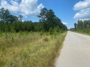 85 Prince Rd SE, Ludowici, GA 31316