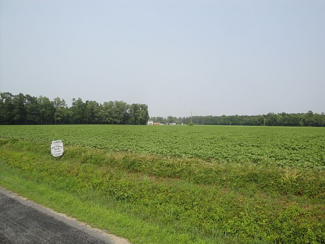1st image of 3.97 Acres Kingsale Road