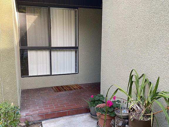 Walkway lined with plants