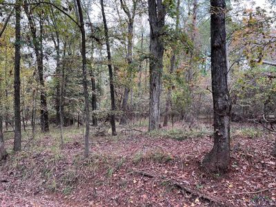 Dale Ln, Avinger, TX, 75630