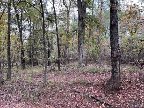 Dale Ln, Avinger, TX 75630