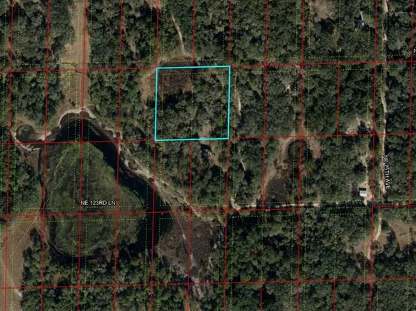 TBD NE 125th St, Bronson, FL 32621