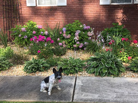 Oreo likes to get in picture