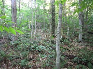 0 Twitchell Rd, Eagle Bay, NY 13331