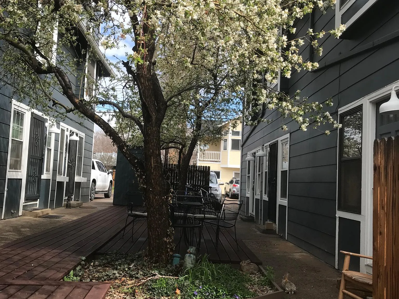 2 bed, 1.5 bath, 960 sqft, $2,550 — Photo 3