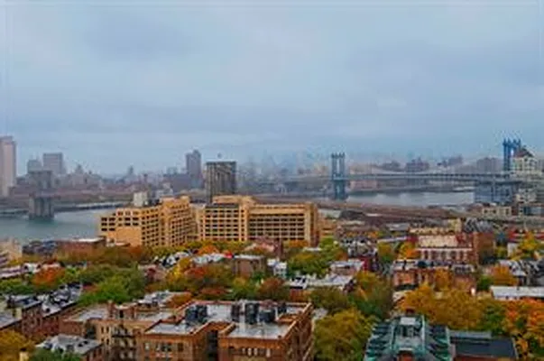 Sold by Douglas Elliman | media 15