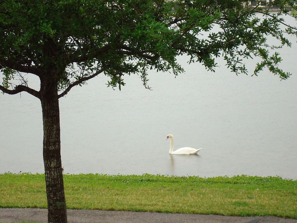 LAKEFRONT WITH TRANQUIL VIEWS