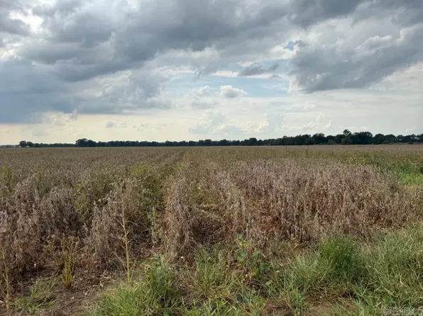 0 County Road 177, Cash, AR 72421