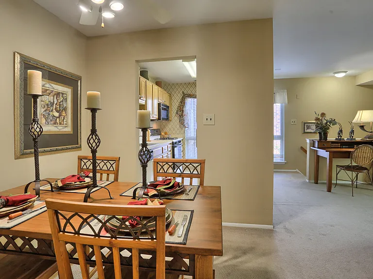 Treeview Apartments — Photo 8