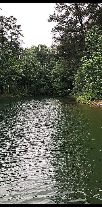Lake view from boat 