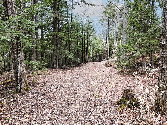 3rd image of 55 Salmon Road