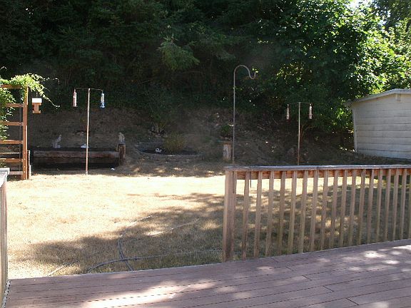 Back yard