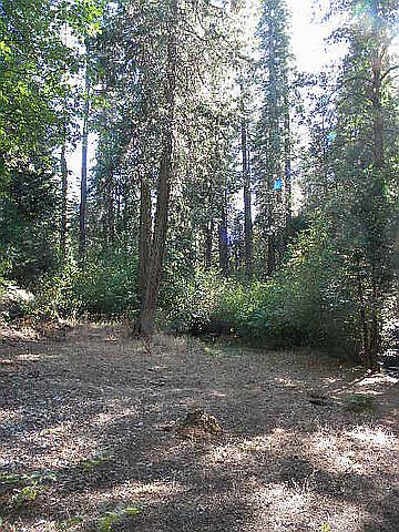 2nd image of 2713 Moran Rd