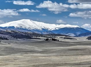 3223 Fitzsimmons Rd, Hartsel, CO 80449