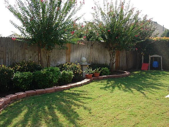 back yard