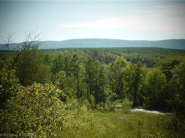 36 Acres Bethel Rd, Magazine, AR 72943