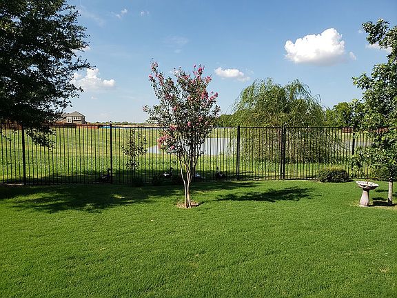 LARGE BACKYARD-2