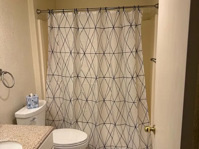 10 White Lily Ct — Photo 7