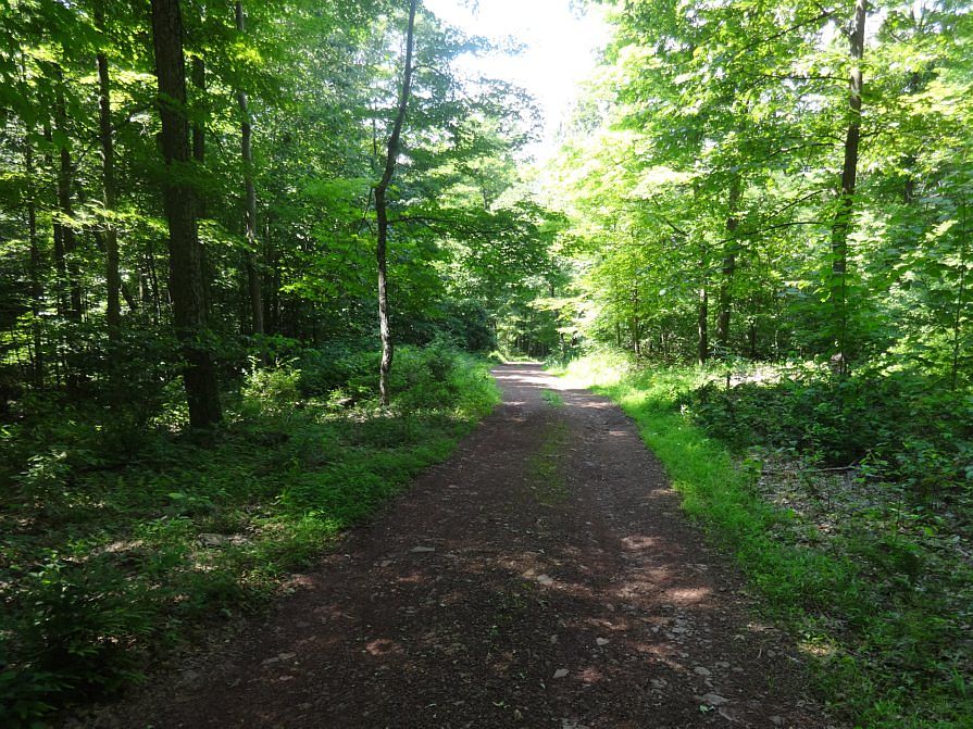 2nd image of 3372 Sheaffer's Valley Rd