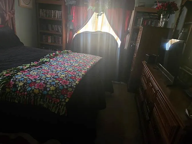 12 Jo Harry Dr — Photo 2