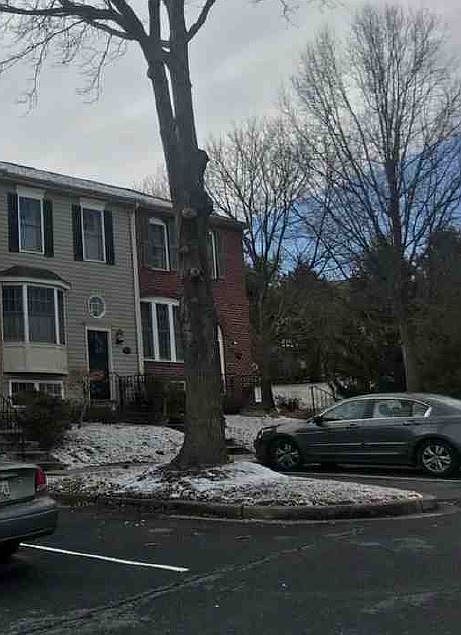 2nd image of 2418 Dunmore Ct