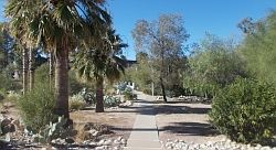 3rd image of 6302 N Barcelona Ln