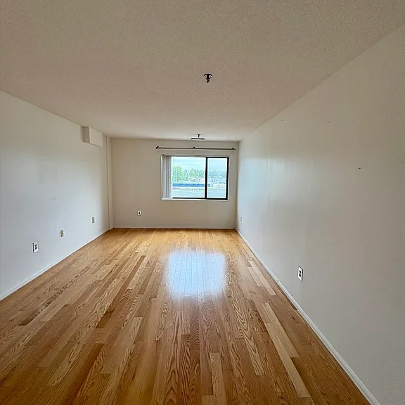 3920 Mystic Valley Pkwy #206 — Photo 10