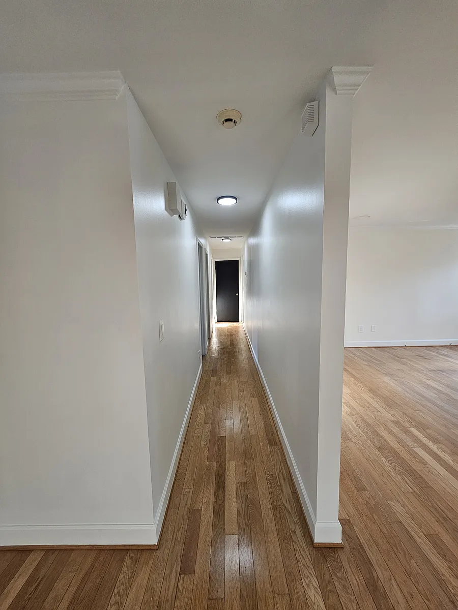 Building Photo - 125 Sun Moss Ct