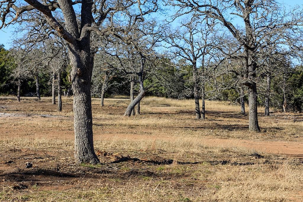 1597D Herber Schaefer Rd, Fredericksburg, TX 78624 Zillow