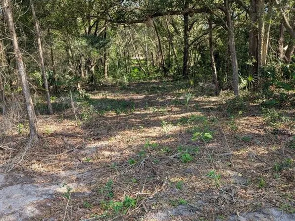 17697 S Highway 25, Weirsdale, FL 32195
