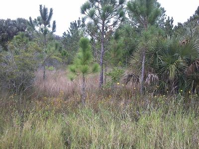 19628 NW 280th St #A, Okeechobee, FL, 34972