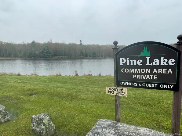 lot # 20 Pine Lake Drive, Wurtsboro, NY 12790