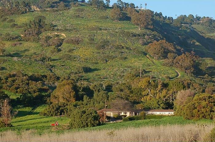 setting in front & behind