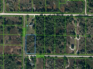 2914 W Matte Rd, Avon Park, FL 33825