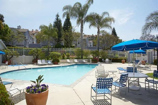 Pool and Jacuzzi