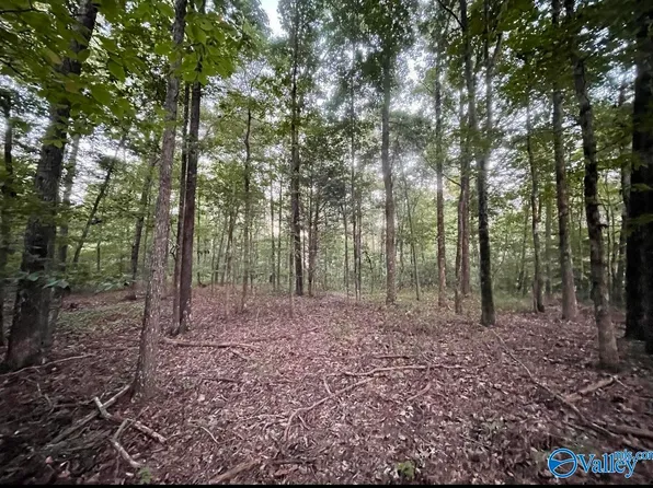 418 Manchester Dr, Guntersville, AL 35976