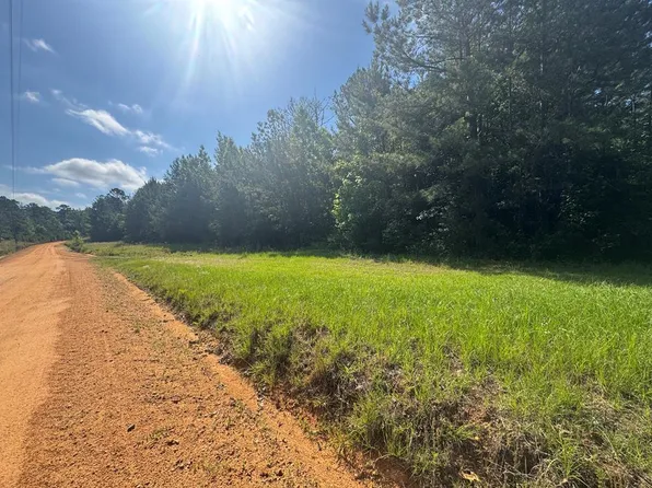 LOT 10 Lewis Dr, Georgetown, GA 39854