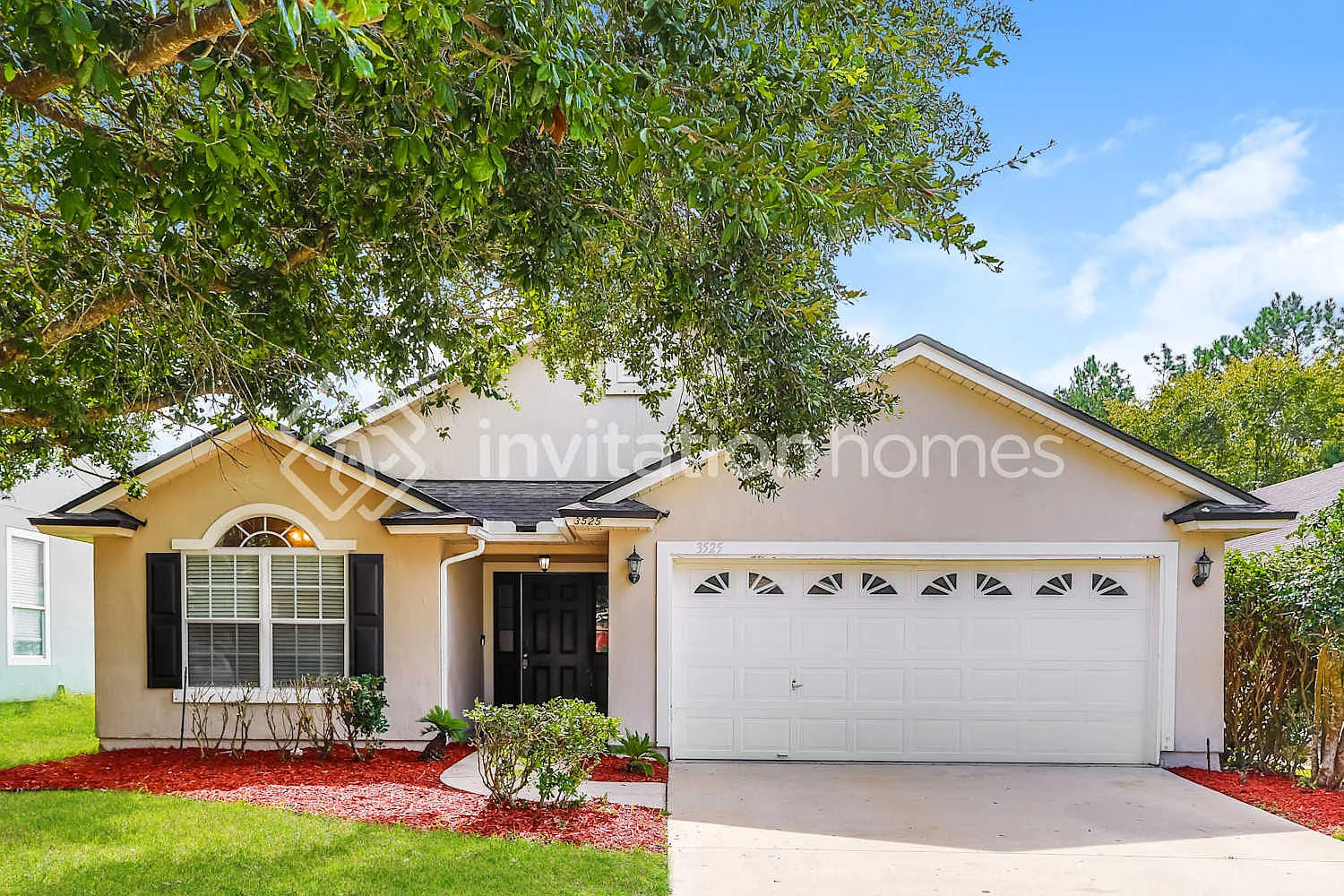 3525 Live Oak Hollow Dr Orange Park, FL 32065 — Photo 1