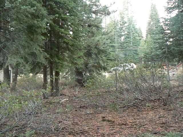 2nd image of 13532 Davos Dr