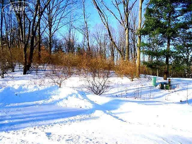 0 Hunters Ridge Dr photo 1