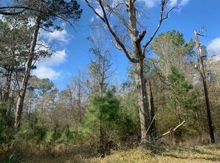 91 Mehringer Rd, Shepherd, TX 77371