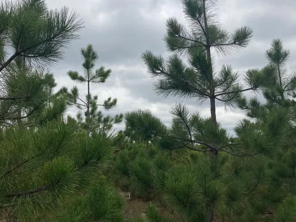 On Cth Q, Crandon, WI 54520