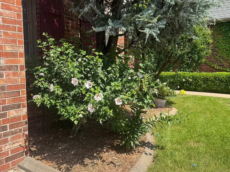 Lovely landscaping
