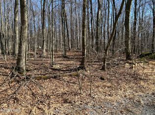 LOT-2230R Saw Mill Rd, Greentown, PA